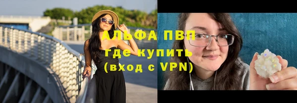 дживик Богородицк