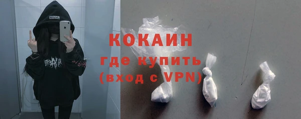 дживик Богородицк