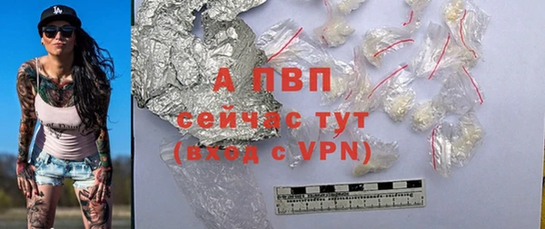 дживик Богородицк
