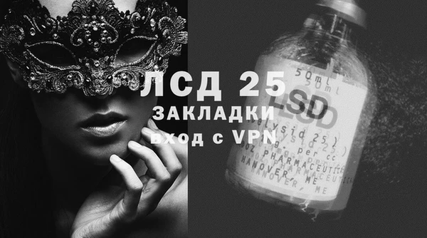 дживик Богородицк