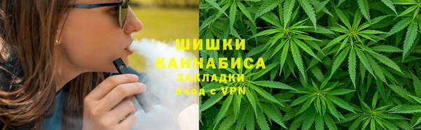 дживик Богородицк